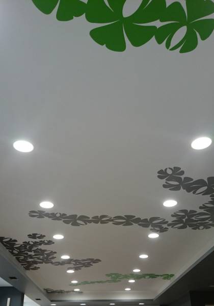 décoration plafond en adhésive pharmacie avignon