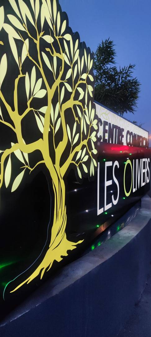 Enseigne caisson lumineux arles