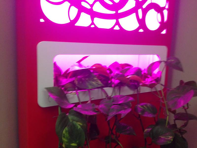 jardiniere design plan de campagne