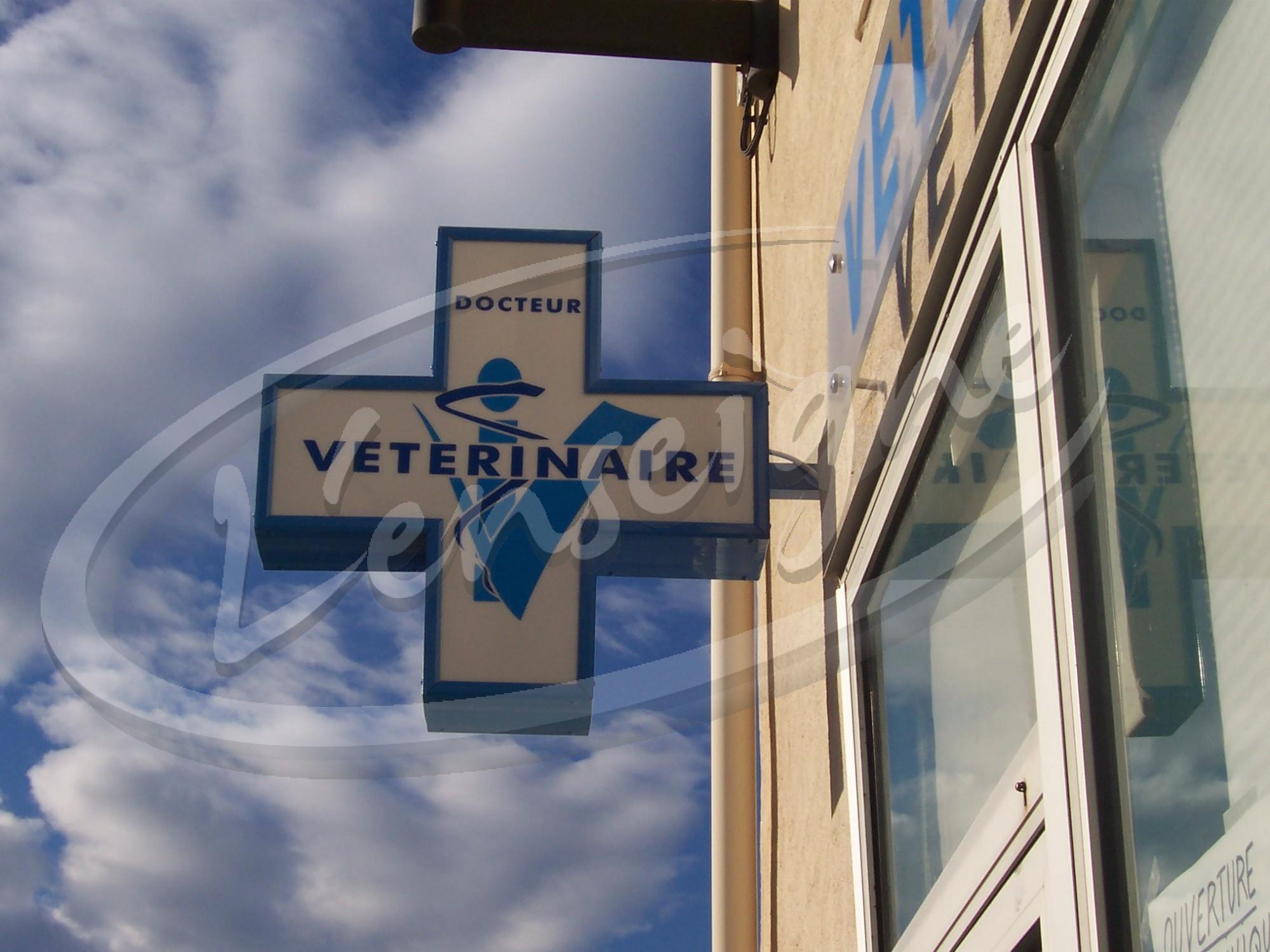 Croix de vétérinaire pas cher marseille