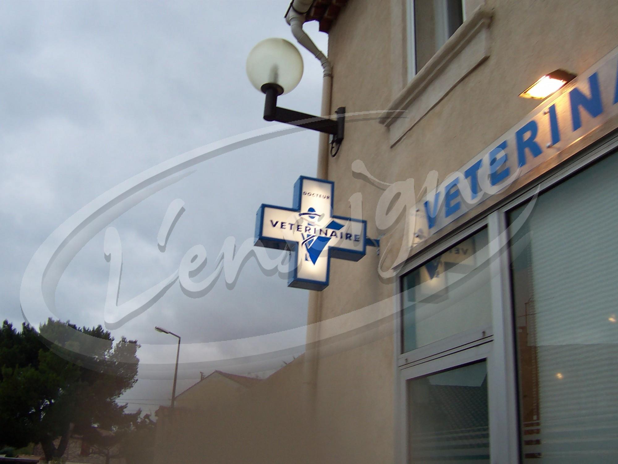 Croix de vétérinaire pas cher nimes